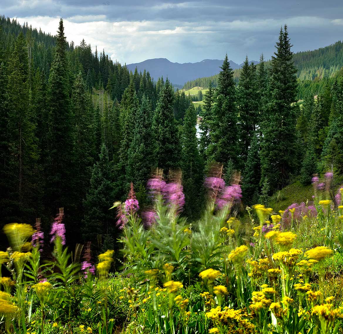 Colorado15